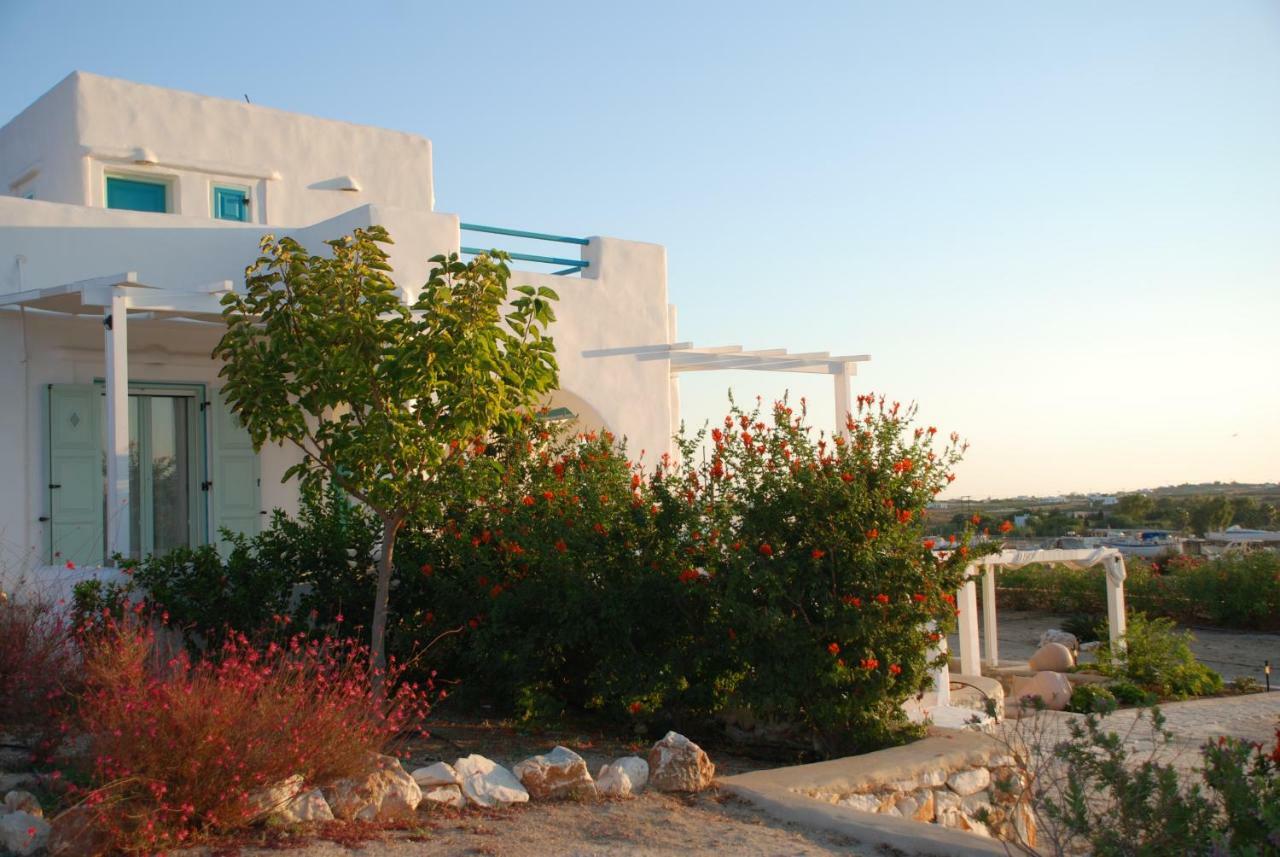 Villa Kampos Naousa-Marpisa アベラス エクステリア 写真