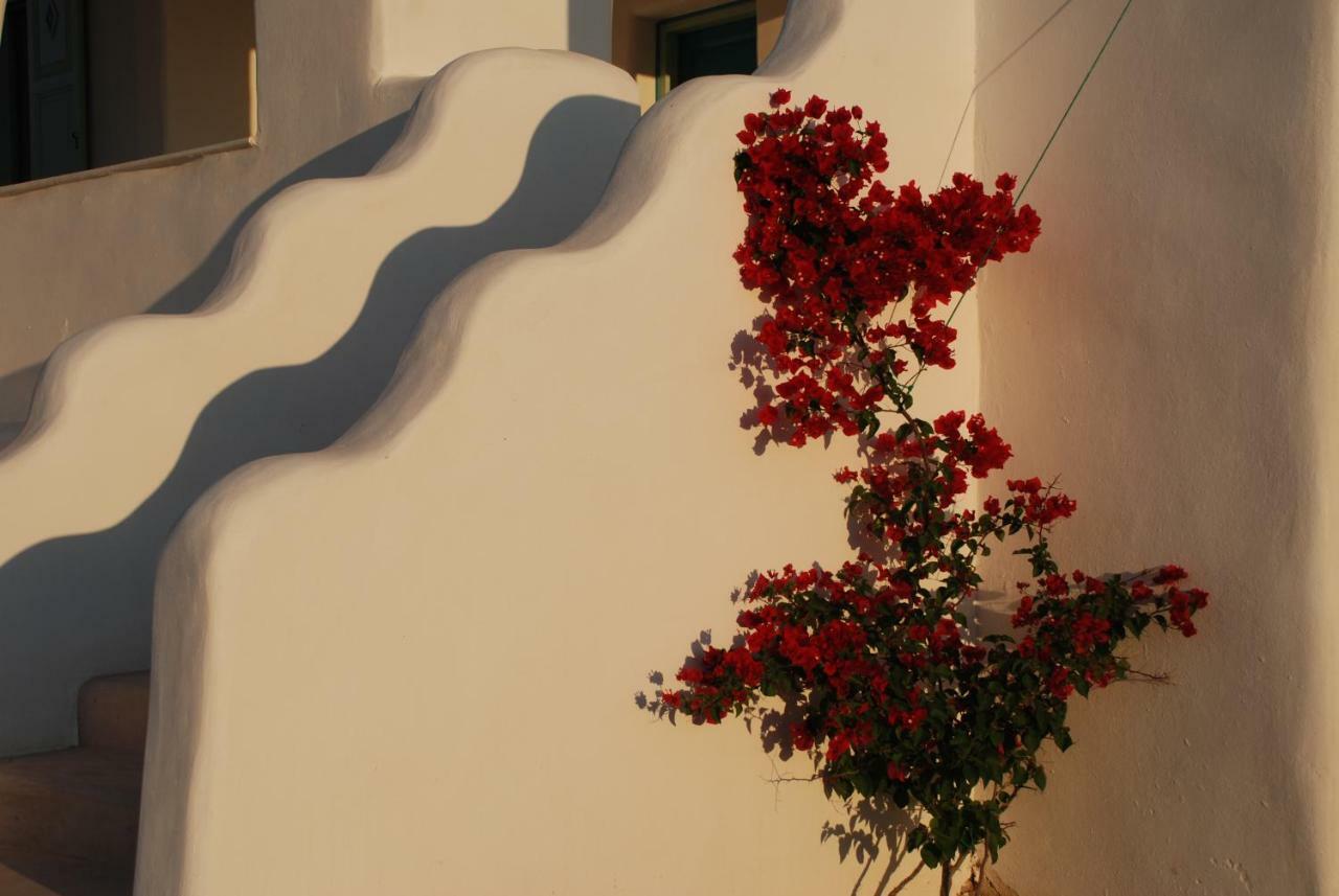 Villa Kampos Naousa-Marpisa アベラス エクステリア 写真