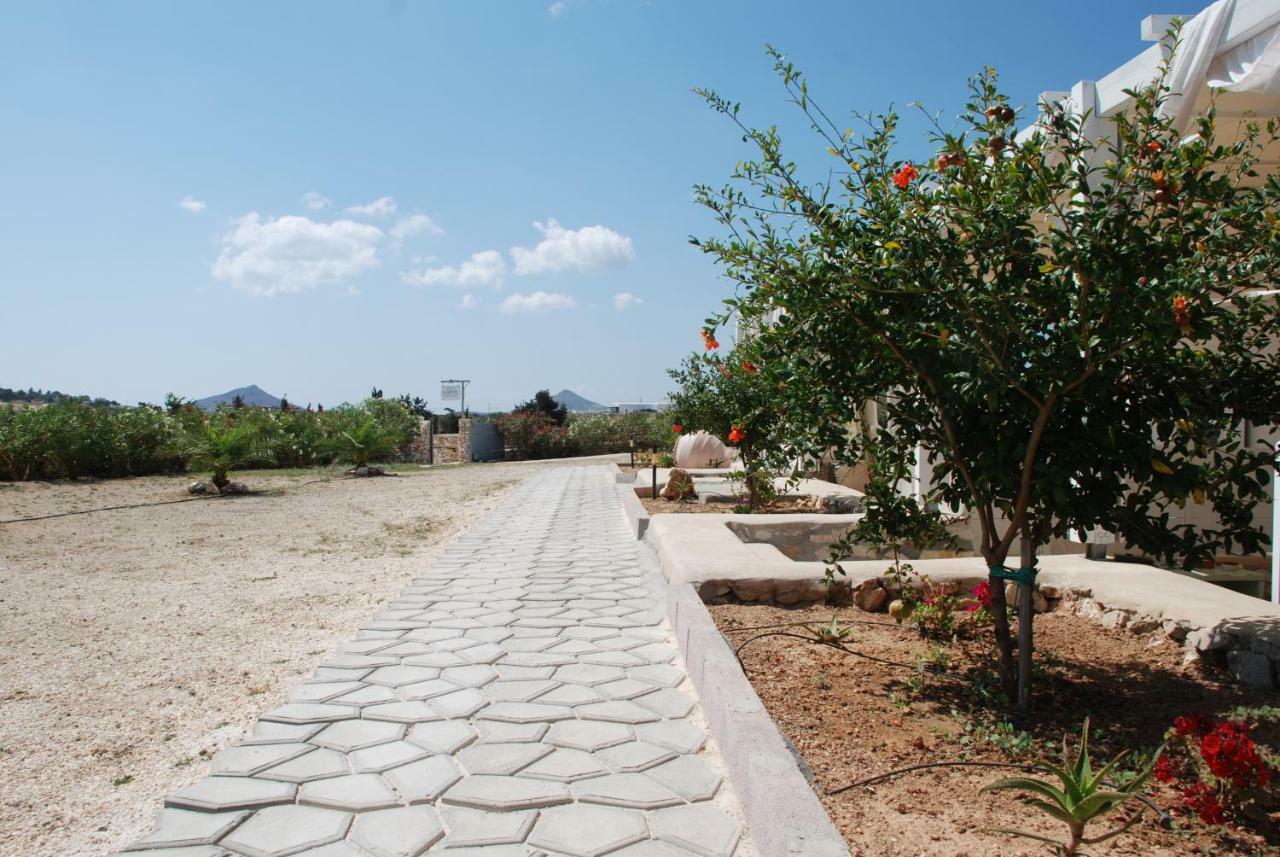 Villa Kampos Naousa-Marpisa アベラス エクステリア 写真
